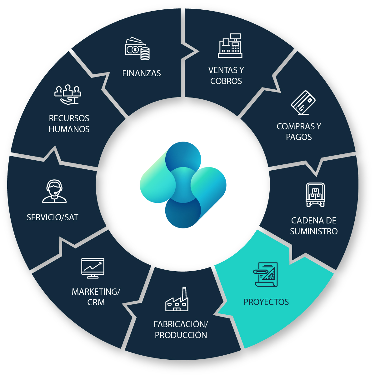 business central proyectos