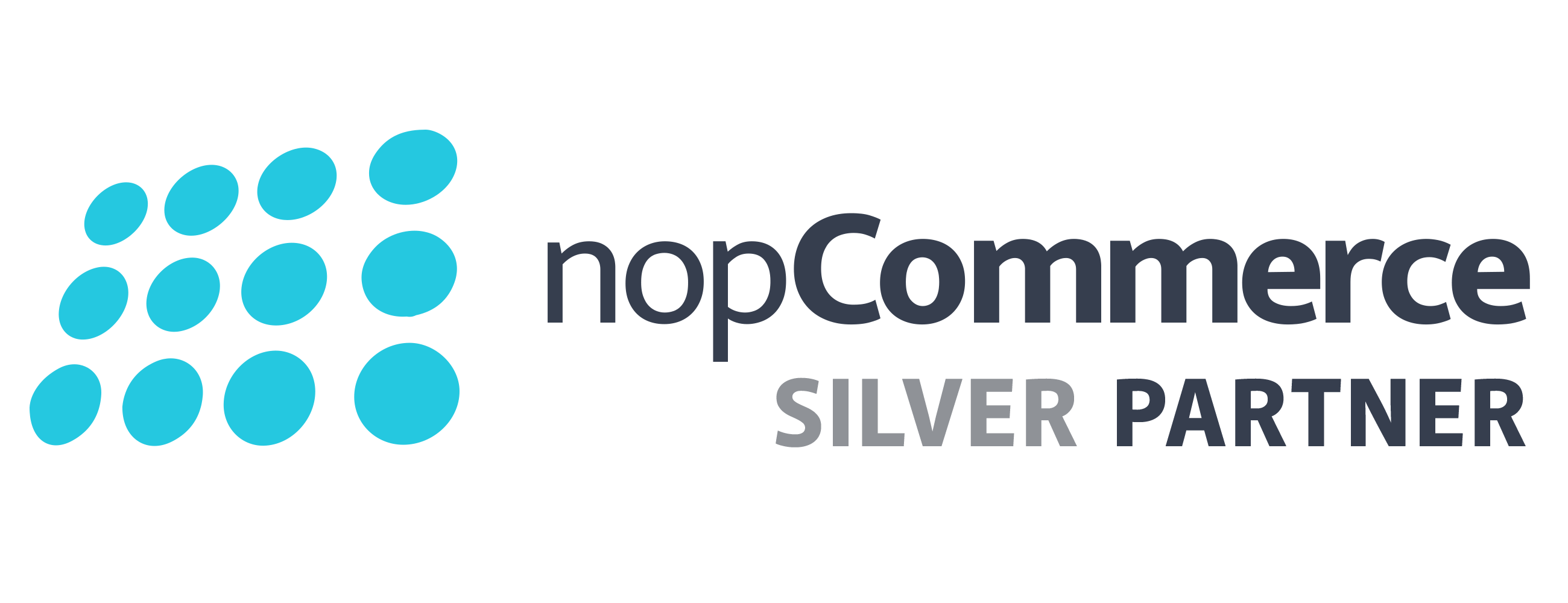nopCommerce - Silver Partner